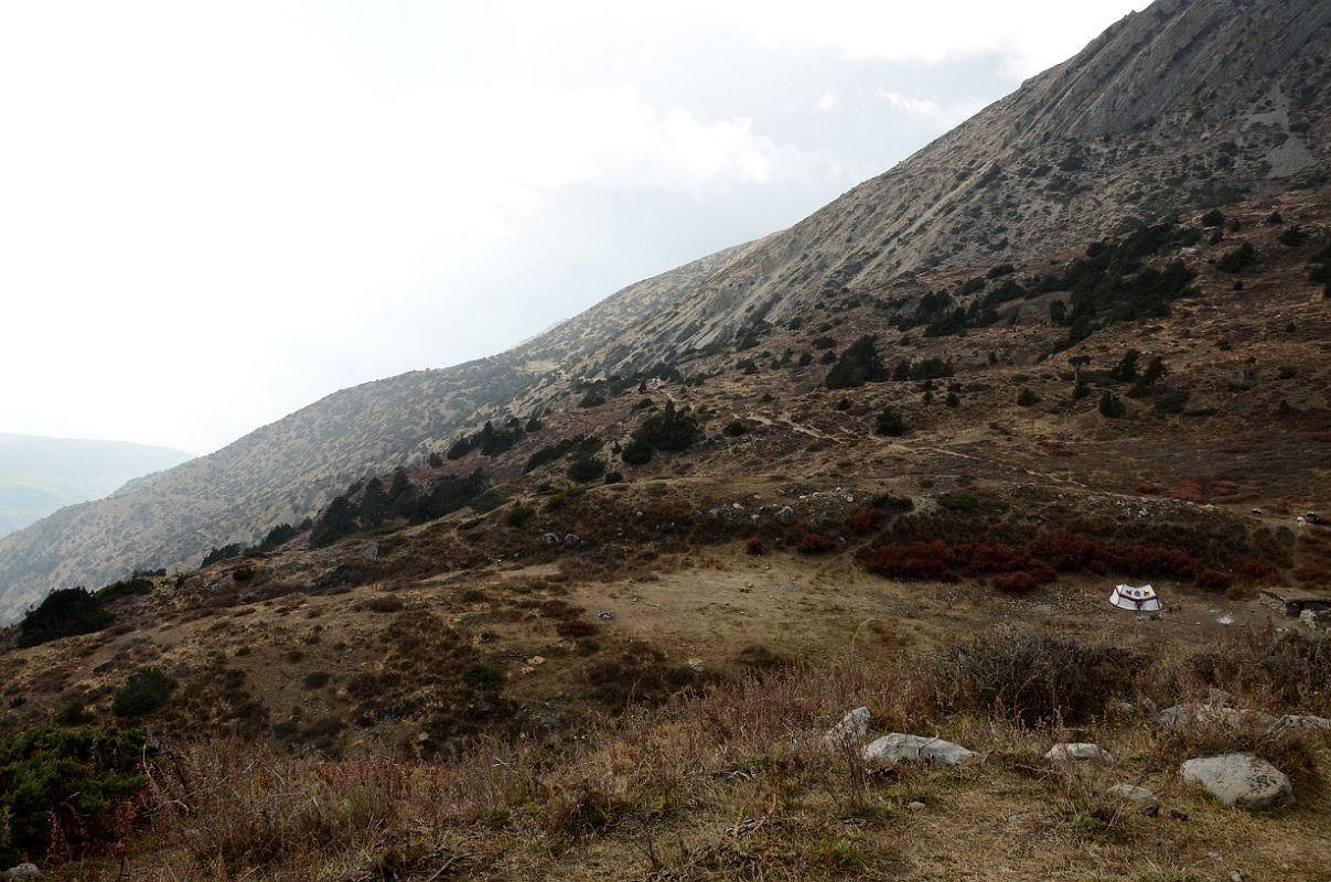 11 Yak Kharka Camp On The Descent From The Mesokanto La 5246m Towards Jomsom 